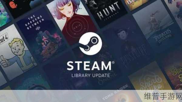 解决与 Steam 服务器通信问题,畅玩手机手游秘籍