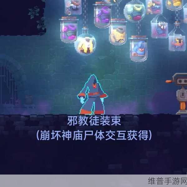 重生细胞王后装束获取秘籍大揭秘