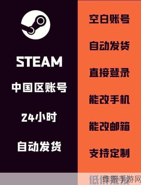 手机版 Steam 登录难题破解指南