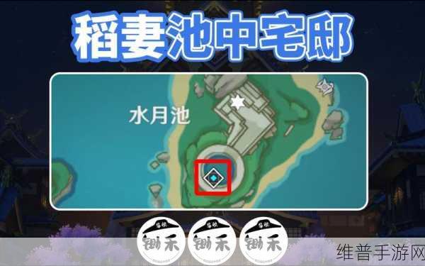 原神池中宅邸开门攻略 带你轻松探秘