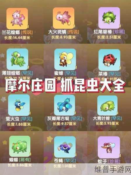 摩尔庄园手游，提升牧场动物好感度秘籍