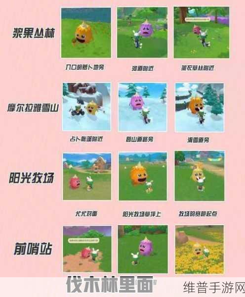 摩尔庄园手游，提升牧场动物好感度秘籍