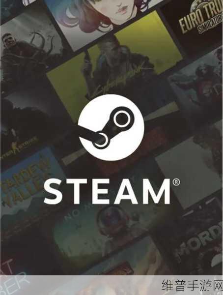 手机 Steam 加载难题破解指南