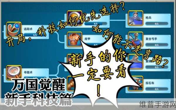 万国觉醒，高效发展的科技选择秘籍