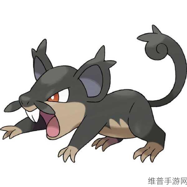 宝可梦大探险中小拉达进化全攻略