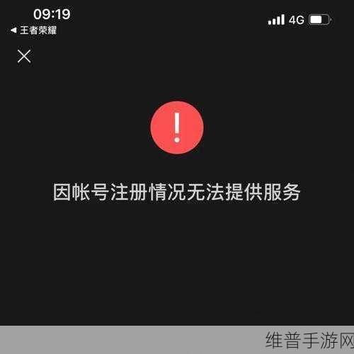 王者荣耀人脸识别失败？别慌，看这里全搞定！