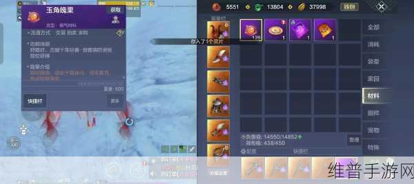 妄想山海中进化夫诸的全方位攻略指南