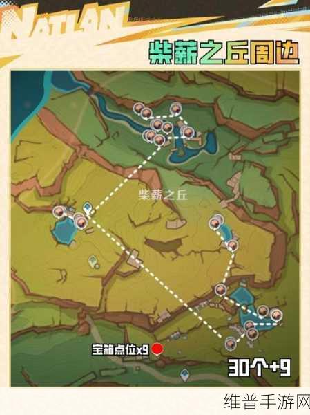 原神，灼灼彩菊采集全攻略，让你不再为其稀缺而烦恼