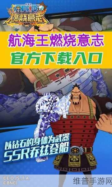 航海王燃烧意志，前排王者的抉择秘籍