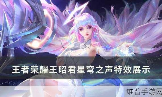 王者荣耀王昭君星穹之声价格大揭秘