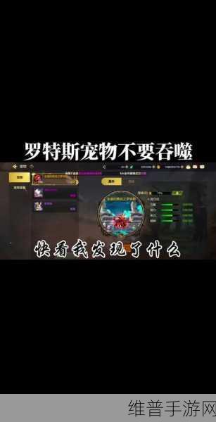 DNF 漫游宠物抉择，颜值实力两手抓