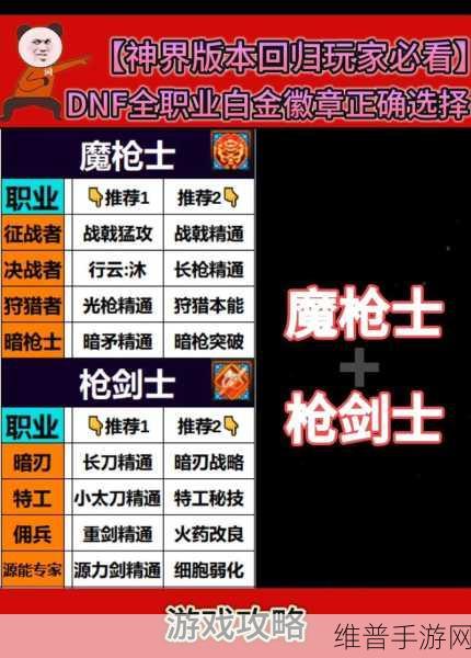 2025 年 DNF 刺客职业，白金徽章的精准抉择秘籍