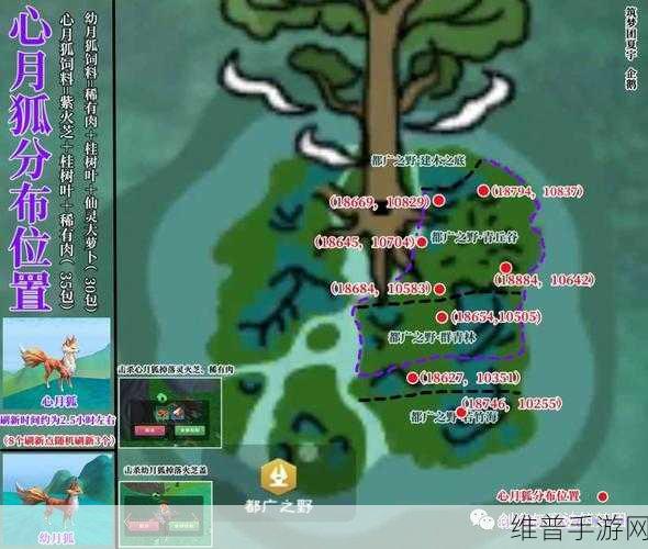 创造与魔法神秘小岛全揭秘，资源宝藏大探索