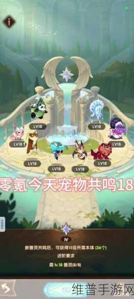 剑与远征宠物共鸣系统全揭秘