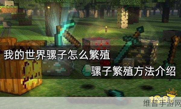 我的世界手游，骡子的秘密指南