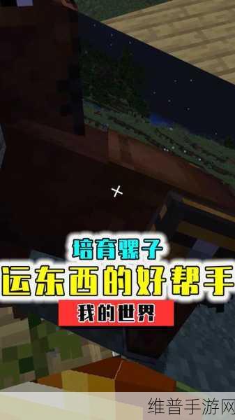 我的世界手游,骡子的秘密指南