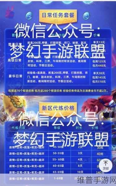 火影忍者手游刷金币秘籍,高效攻略深度剖析