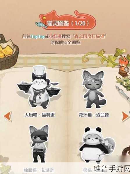 森之国度猫灵强度全解析 排行榜重磅出炉