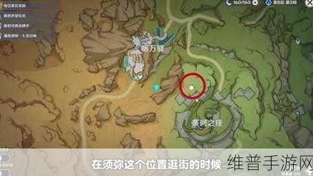 原神，探秘隐藏任务与珍稀之鸟的邂逅之旅