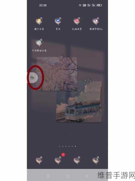 OPPO 手机拍照按键设置，助力手游精彩瞬间定格