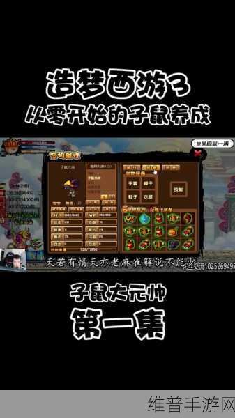 造梦西游 3 ，获取极品虎丸 544 的终极秘籍