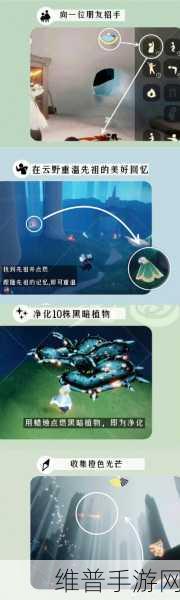 光遇雨林重温先祖回忆全攻略