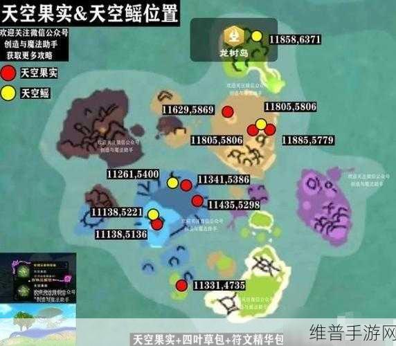 创造与魔法，彩壳龟位置全揭秘
