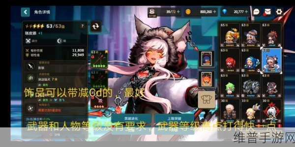 坎公骑冠剑，暗狼实力全解析