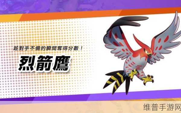 宝可梦大集结烈箭鹰实战指南
