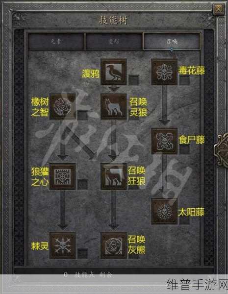 暗黑破坏神 2 重制版，德鲁伊技能全解析与开荒秘籍