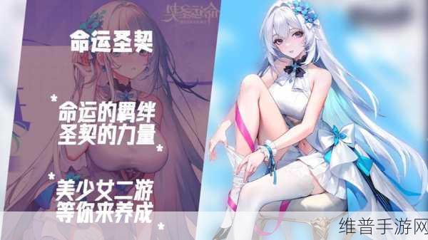 命运圣契，璀璨角色绘集与深度解析