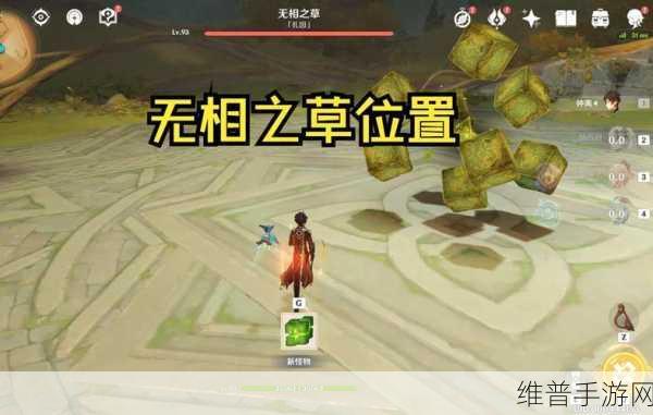 原神,探寻无相之草的神秘所在