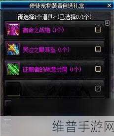 DNF 手游，揭开宠物装备来源之谜