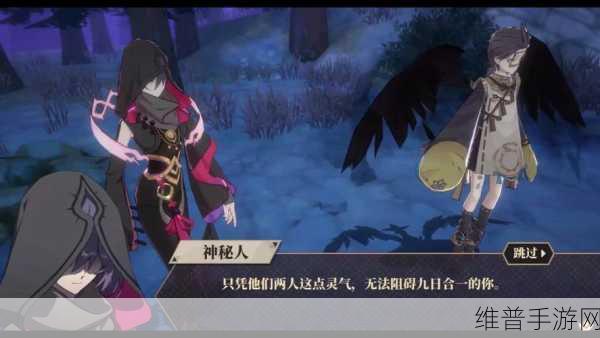 深度剖析山海镜花组队的关键作用