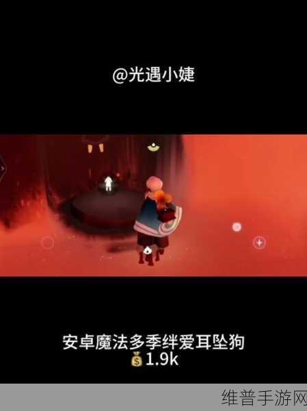 光遇兔子头饰获取全攻略