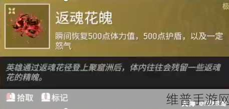 永劫无间双节棍科目五全面解析