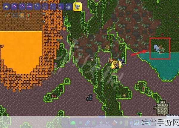 泰拉瑞亚丛林地形的深度探秘与全解