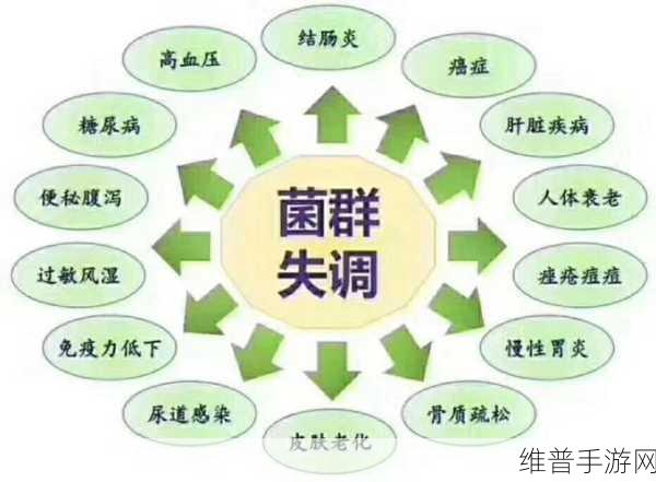 幻塔虫草养生面全攻略，制作与食材获取秘籍
