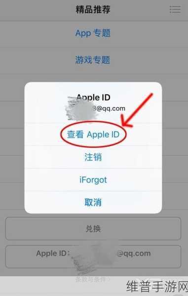苹果 6plus 关闭 APP 移动数据 手游畅玩无忧秘籍