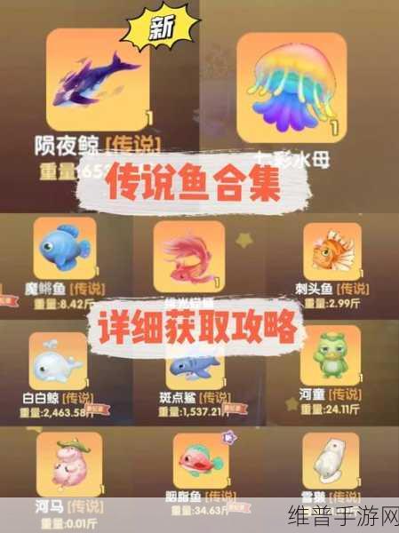 摩尔庄园手游，全方位攻略指南，称霸庄园不是梦