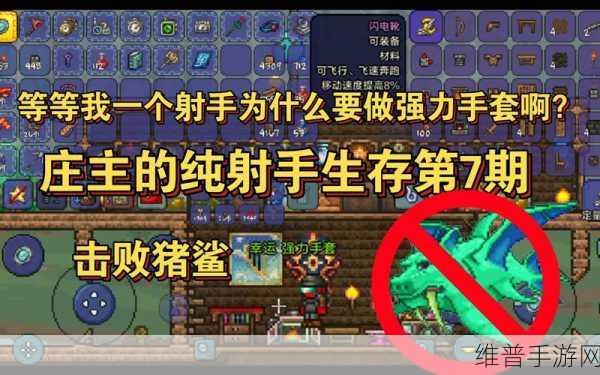 泰拉瑞亚手套版本全解析，游戏称霸秘籍