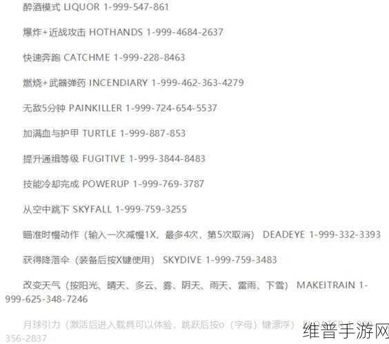 GTA5 在线模式作弊码大揭秘