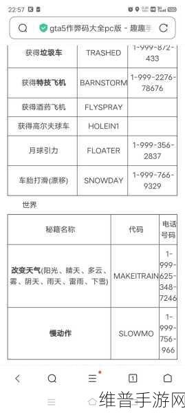 GTA5 在线模式作弊码大揭秘