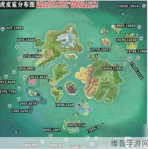 创造与魔法，探寻鲨鱼捕捉地点的神秘之旅