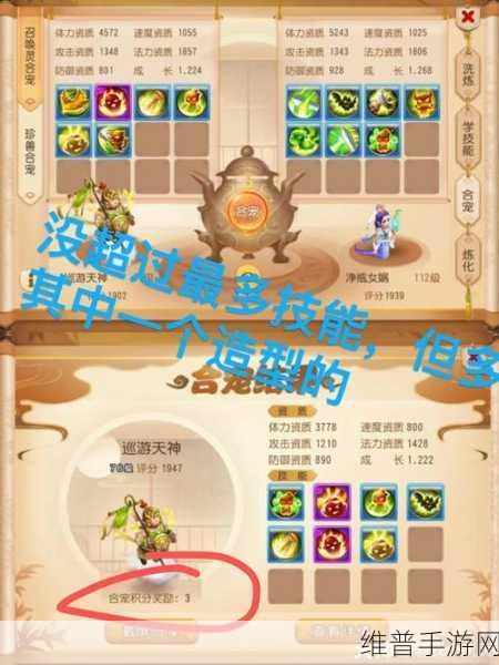 梦幻西游手游合宠秘籍，登顶高端技巧全解析