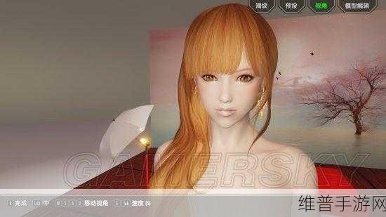 上古卷轴 5 热门妹子捏脸数据大揭秘
