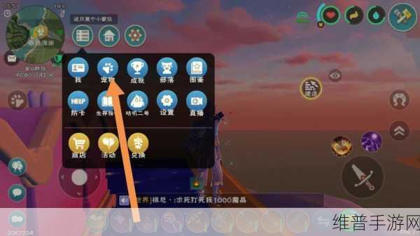 创造与魔法，不同服乐园币互通之谜揭晓