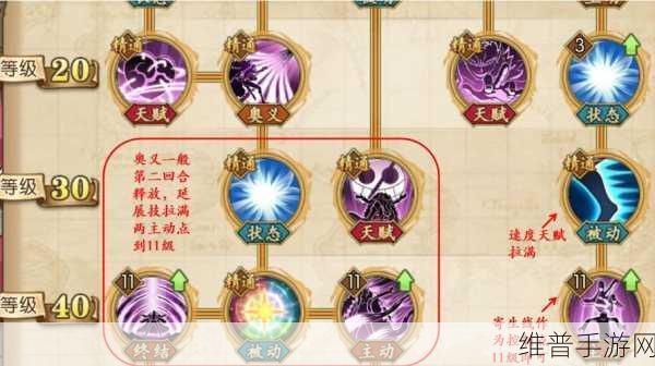 航海王燃烧意志，多弗拉门戈深度剖析