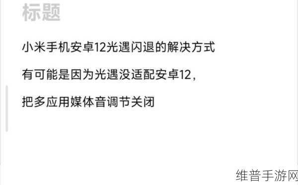 光遇国际服小米闪退问题全解析及应对策略