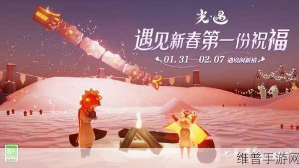光遇国际服小米闪退问题全解析及应对策略